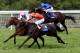 CHICHESTER, ENGLAND - JULY 31: Tom Queally and Midday lead the Cristophe Soumillon ridden Stacelita (orange colours) and the Frankie Dettori partnered Antara home to land The Blue Square Nassau Stakes run on the 5th day of Glorious Goodwood at Goodwood Racecourse on July 31, 2010 in Chichester, England. (Photo by Julian Herbert/Getty Images)