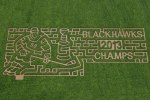 Fan Honors Hawks' Title with Epic Crop Maze