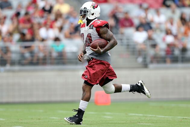 Ryan Williams Still Battling His Knee