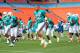 Jul 29, 2013; Miami, FL, USA; Miami Dolphins wide receiver Brian Hartline (82) warms up during a scrimmage at Sun Life Stadium. Mandatory Credit: Steve Mitchell-USA TODAY Sports
