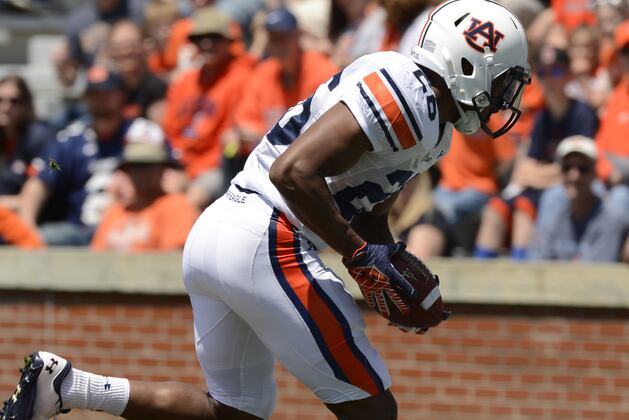 Garrett Emerges as Tigers' 'Star' Defender