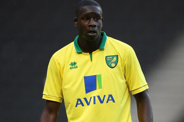 Transfer News: Norwich Defender Leon Barnett Completes Move to Wigan