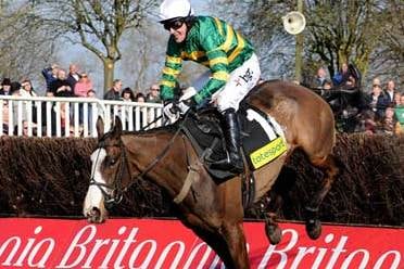 As Horse Deaths Mount, Campaigners Ask: What Price a Day at the Races