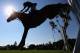 HICKSTEAD, UNITED KINGDOM - JULY 22: Pieter Devos of Belgium clears a fence on Candy during his fifth place finish in the Longines King George V Gold Cup at the Longines Royal International Horse Show on July 22, 2012 in Hickstead, West Sussex, England. (Photo by Alex Livesey/Getty Images)