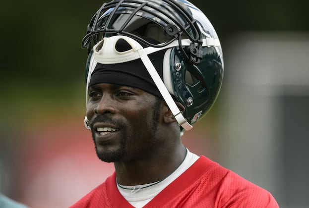 'Flyswatters' Keeping Vick's Passes in Line