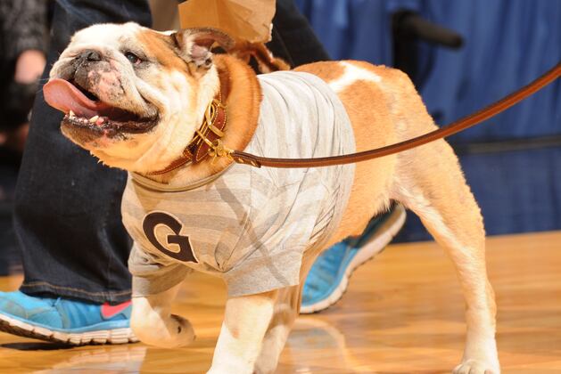 Georgetown Mascot Fracas Rages On