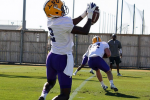 LSU's WR Avery Peterson Suffers Injury in Tuesday Practice
