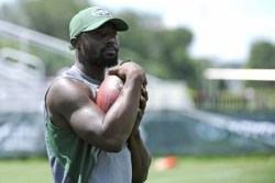 Santonio_crop_north