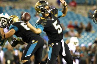 Jags_crop_north