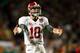 MIAMI GARDENS, FL - JANUARY 07: AJ McCarron #10 of the Alabama Crimson Tide reacts after throwing a touchdown in the first quarter to Michael Williams #89 against the Notre Dame Fighting Irish during the 2013 Discover BCS National Championship game at Sun Life Stadium on January 7, 2013 in Miami Gardens, Florida. (Photo by Kevin C. Cox/Getty Images)