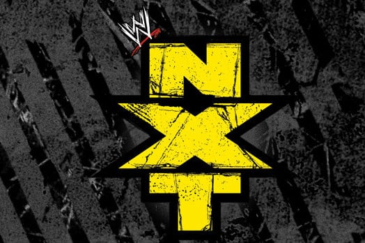 WWE NXT Results and Review of 8/15/13