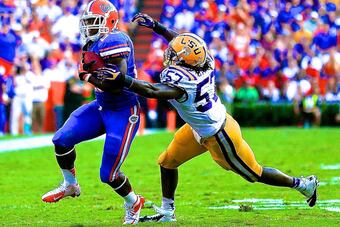 Lsufla_crop_north