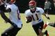 With no Andrew Hawkins for now, can Dane Sanzenbacher step up to the Bengals slot receiver job?