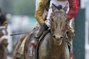 Orb Paces Workout at Saratoga Ahead of Saturday's Travers Stakes
