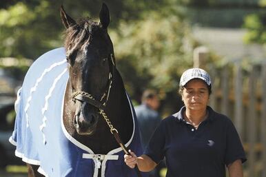 Trainer McPeek Getting War Dancer Ready for Travers Stakes