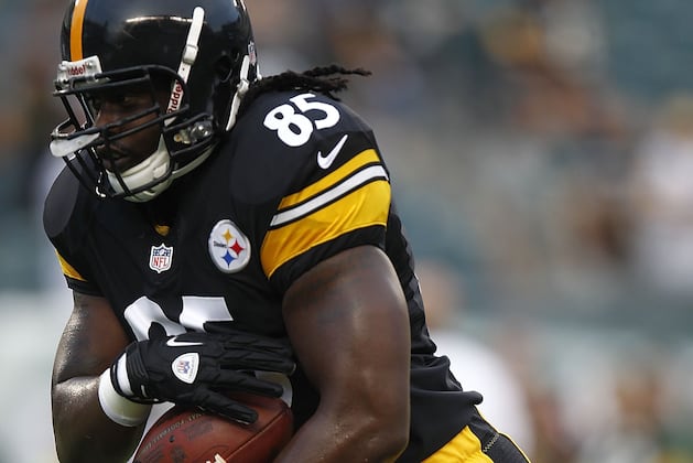Steelers Activate David Johnson from PUP List