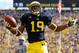 ANN ARBOR, MI - SEPTEMBER 08: Devin Funchess #19 of the Michigan Wolverines celebrates a second quarter touchdown against the Air Force Falcons at Michigan Stadium on September 8, 2012 in Ann Arbor, Michigan. (Photo by Gregory Shamus/Getty Images)