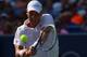 CINCINNATI, OH - AUGUST 17: Tomas Berdych of Czech Republic returns a shot to Rafael Nadal of Spain in their Men's Singles semifinals match during the Western & Southern Open on August 17, 2013 at Lindner Family Tennis Center in Cincinnati, Ohio. (Photo by Ronald Martinez/Getty Images)