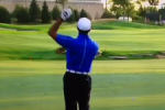Vine: Tiger Not Happy, Takes It Out on Club