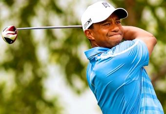 Tiger_crop_north