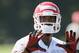 Jonathan Baldwin has a chance with the 49ers to erase any doubts over his catching ability.