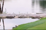 Video: Scott Brown Hits Bridge at Barclays, Still Makes Eagle