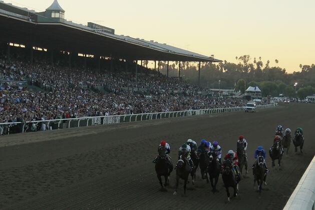 Breeders' Cup to Allow Lasix Use in All 2014 Races