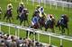 YORK, ENGLAND - AUGUST 23: Silvestre De Sousa riding Golden Town (L, blue) win The Sky Bet Mobile Convivial Maiden Stakes at York racecourse on August 23, 2013 in York, England. (Photo by Alan Crowhurst/Getty Images)
