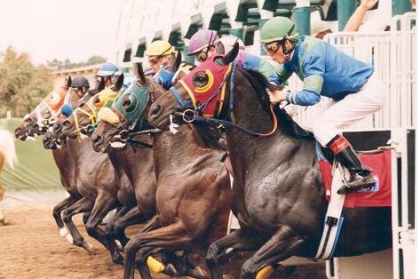 Del Mar Gate Mishap Results in No Contest