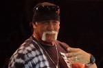 Backstage Heat on Hogan in TNA After WWE 2K14 Deal