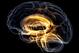The final part of our series looks at the stigma of brain injury in rugby.