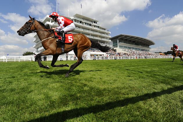 Japanese Horse-Racing Video Game Is The Weirdest Thing In The World
