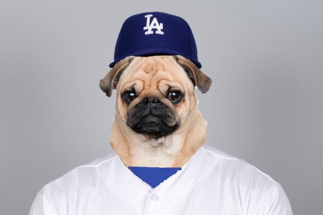 Photo: Person with Too Much Free Time Creates Yasiel Pug