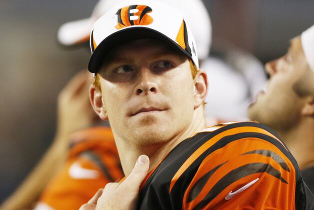 Bengals Season Prediction: 10-6