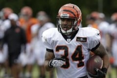 Report: Roland, Herron Among Bengals Cuts