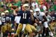 Rees played well in Notre Dame's Week 1 victory.