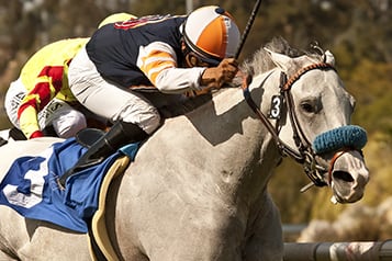 Egg Drop Holds Off Foes in G2 Yellow Ribbon