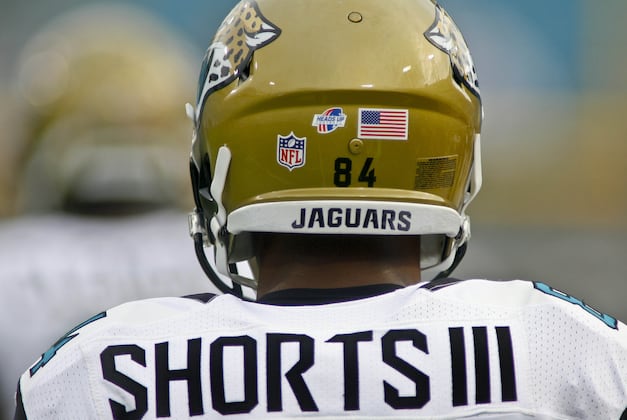 Jaguars Roster Breakdown
