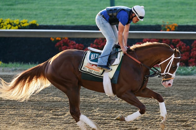 Breeders' Cup Classic Rankings: Will Take Charge Breaks in