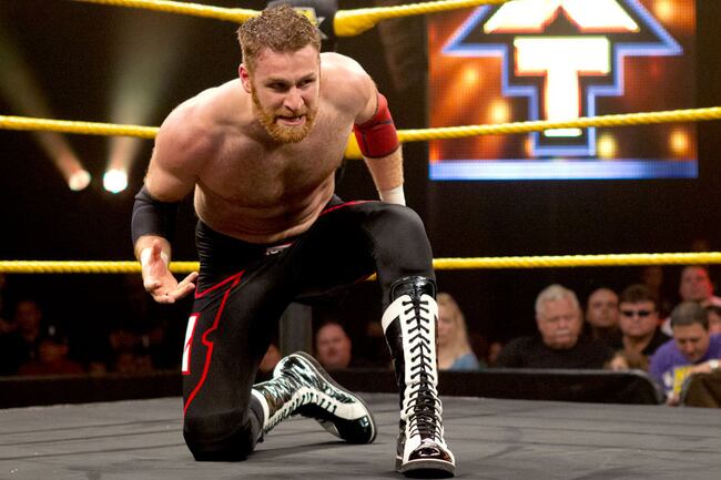 Samizayn_crop_north