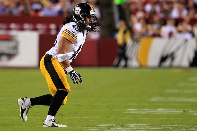LeBeau Doesn't Have Many Defenses for Troy Polamalu in His Playbook
