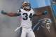Aug 9, 2013; Charlotte, NC, USA; Carolina Panthers running back DeAngelo Williams (34) runs on the field prior to the start of the game against the Chicago Bears. The Panthers defeated the Bears 24-17. Mandatory Credit: Jeremy Brevard-USA TODAY Sports