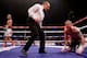 GLASGOW, SCOTLAND - SEPTEMBER 07: Ricky Burns is given a count after being knocked down by Raymundo Beltran during their WBO World Lightweight Title bout at SECC on September 7, 2013 in Glasgow, Scotland. (Photo by Scott Heavey/Getty Images)