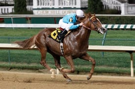 Veteran Hartlage Looks to Future with Impressive Maiden Winner Wry