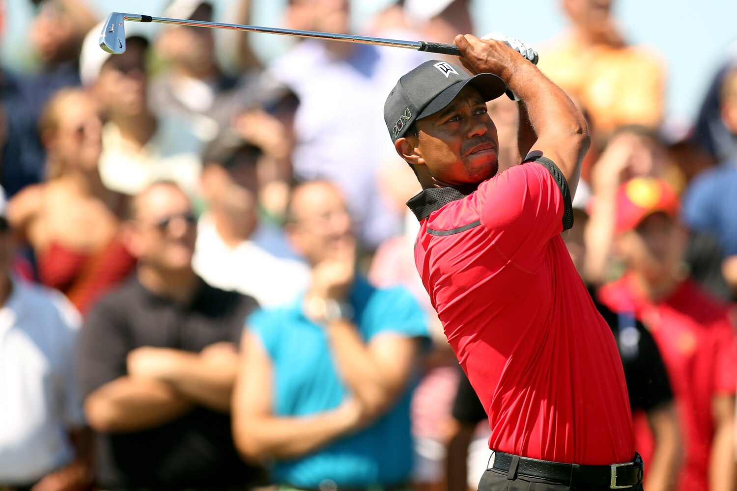 Fedex Golf Standings - 1icwffn