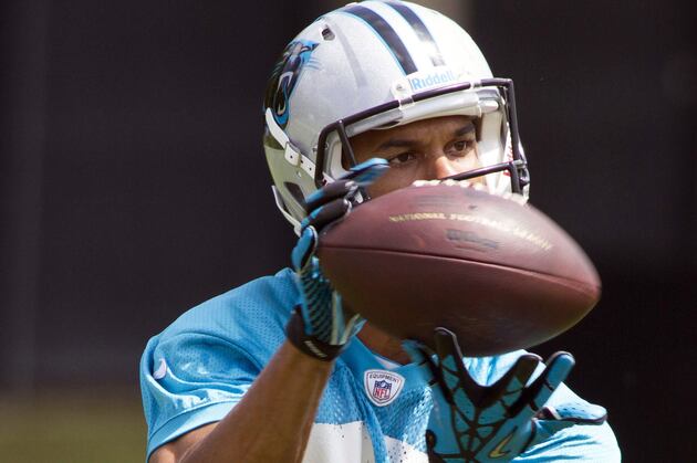 Domenik Hixon 'Felt Good,' but Panthers Coaches Left Him Inactive