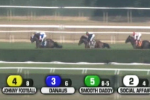 'Johnny Football' Horse Finishes Dead Last in Race