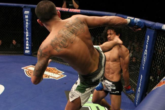 Hendopettis_crop_north