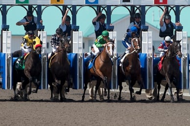 Nine Vie for Breeders Cup Berth in Canadian S