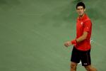 How Winning Hurt Novak Djokovic